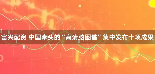 富兴配资 中国牵头的“高清脑图谱”集中发布十项成果