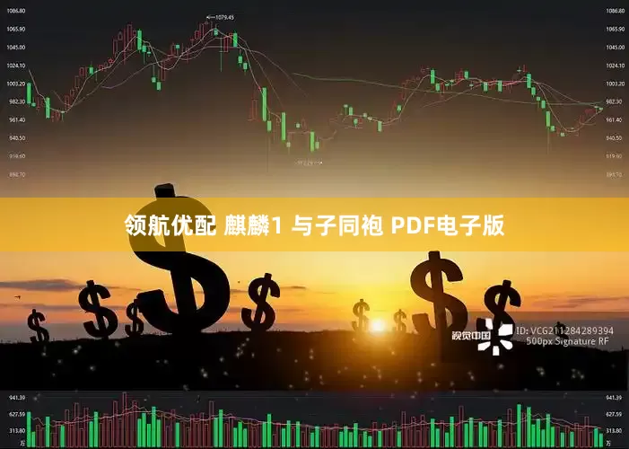 领航优配 麒麟1 与子同袍 PDF电子版