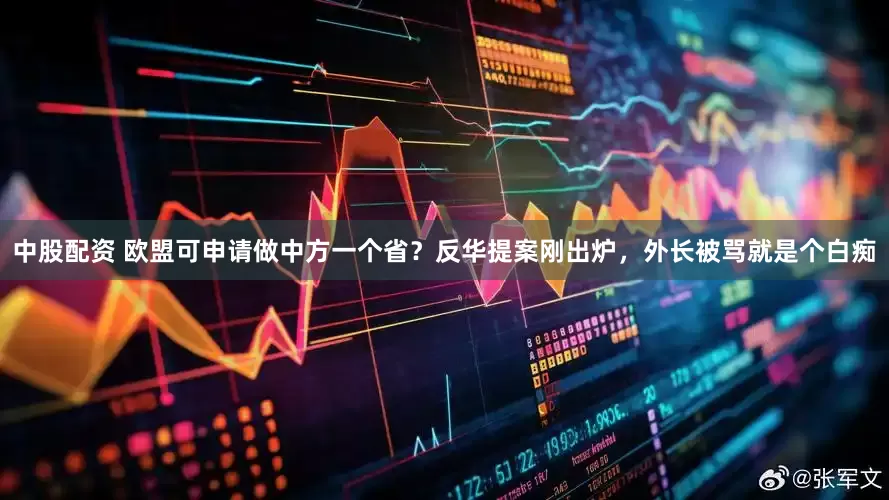 中股配资 欧盟可申请做中方一个省？反华提案刚出炉，外长被骂就是个白痴